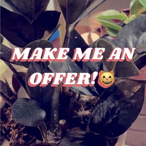 Make me an offer in anything!